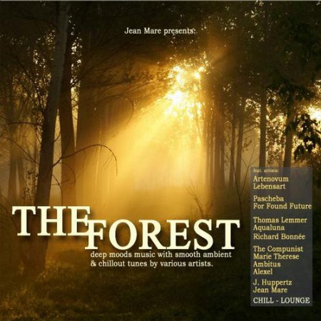 THE-FOREST-CHILL-LOUNGE